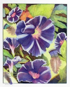 BEACH MORNING GLORIES color pigment pencil 29x25 in. Artist