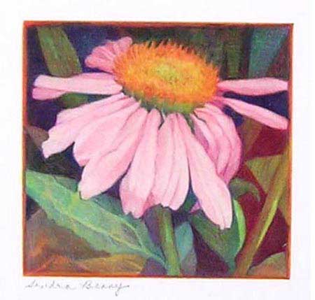 CONE FLOWER color pigment pencil 10X10 in. Archives