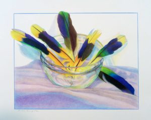 FEATHER BOWL 2 color pigment pencil