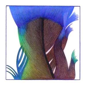 FEATHER FRAGMENT BLUE color pigment pencil  11 x 11 in. Artist