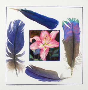 FEATHER FRAMED LILY color pigment pencil 21x21 in. Artist