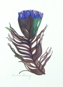 FEATHER color pigment pencil12x10 in. Artist