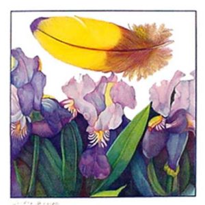 IRIS color pigment pencil 15x15 in. Artist