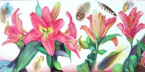 LILY color pigment penncil 20x40 in. Artist