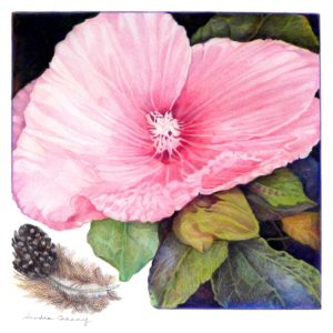 PINK MALLOW color pigment pencil 20x20 in. Artist