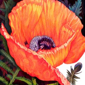 POPPY color pigment pencil 18x18 in. Artist