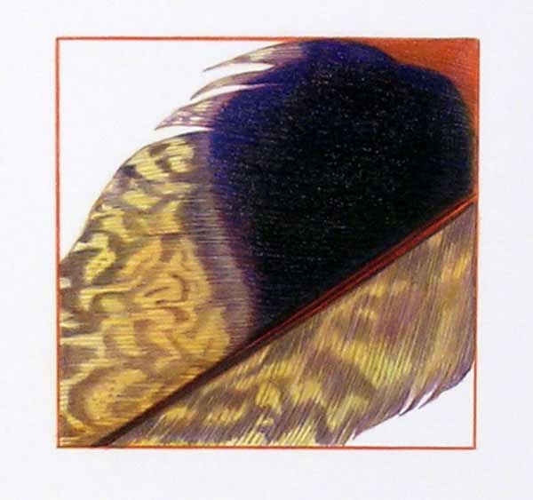 SUNBITTERN FRAGMENT color pigment pencil 10x10 in. Artist